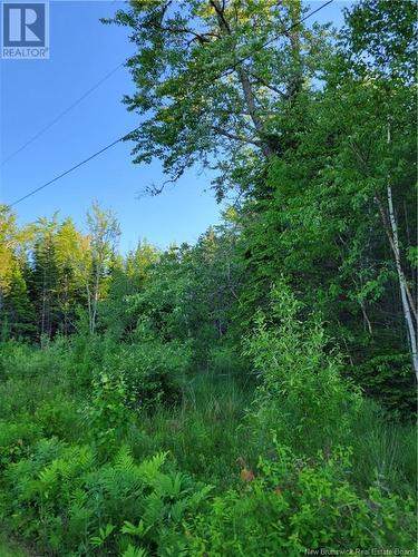 Lot 79-19 Morton Lane, Cumberland Bay, NB 