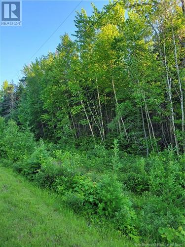 Lot 79-19 Morton Lane, Cumberland Bay, NB 