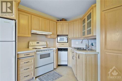 Lots of cupboards - 1285 Cahill Avenue Unit#1303, Ottawa, ON - Indoor Photo Showing Kitchen With Double Sink