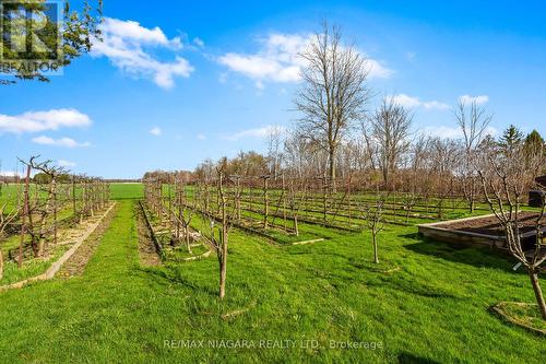 63023 Perry Road, Wainfleet, ON - Outdoor With View