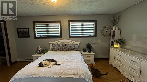 615 5Th Avenue, Grand-Sault/Grand Falls, NB - Indoor Photo Showing Bedroom