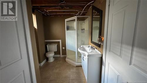 615 5Th Avenue, Grand-Sault/Grand Falls, NB - Indoor Photo Showing Bathroom