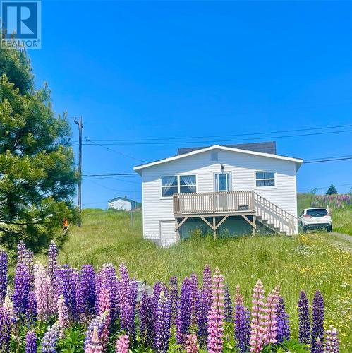 241 Main Road, Sunnyside, NL - Outdoor With Deck Patio Veranda