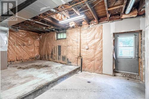 42 Terrace Street, London, ON - Indoor Photo Showing Basement