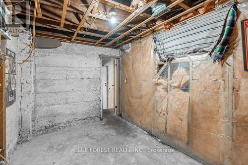 42 Terrace Street, London, ON - Indoor Photo Showing Basement