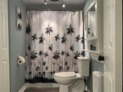 Bathroom - 102-214 Rue Notre-Dame, Repentigny (Repentigny), QC 