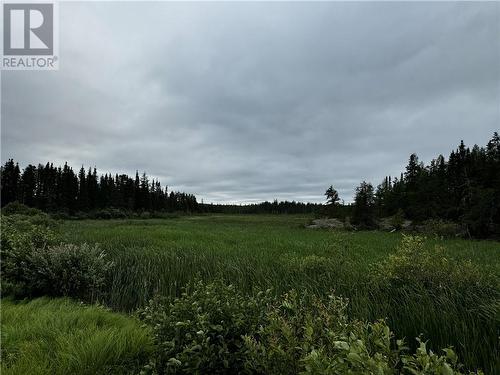 136 Hwy 129 Highway, Chapleau, ON - Outdoor With View