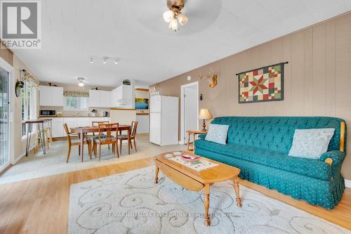 198 Hagerman Lane, Tweed, ON - Indoor Photo Showing Living Room