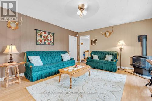 198 Hagerman Lane, Tweed, ON - Indoor Photo Showing Living Room With Fireplace