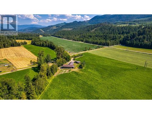 26 Byers Road, Cherryville, BC - Outdoor With View