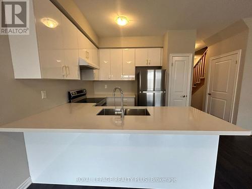 10 - 30 Mia Drive, Hamilton, ON - Indoor Photo Showing Kitchen With Double Sink