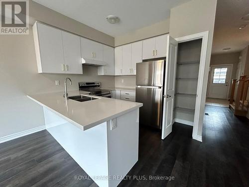 10 - 30 Mia Drive, Hamilton, ON - Indoor Photo Showing Kitchen With Stainless Steel Kitchen With Double Sink