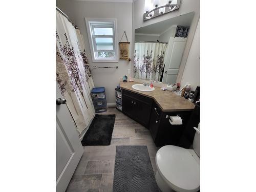 424 Bickford Drive, Elkford, BC - Indoor Photo Showing Bathroom