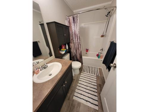 424 Bickford Drive, Elkford, BC - Indoor Photo Showing Bathroom