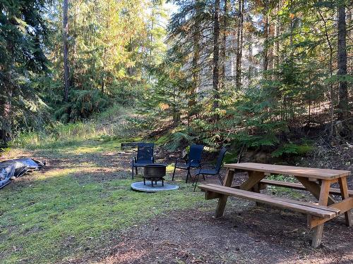 1630 Carol Street, Kaslo, BC - Outdoor