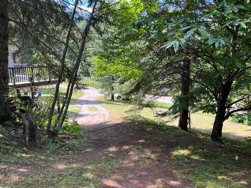 1630 Carol Street, Kaslo, BC - Outdoor With View