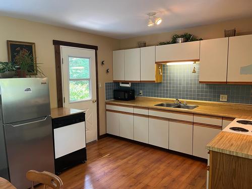 1630 Carol Street, Kaslo, BC - Indoor Photo Showing Kitchen With Double Sink