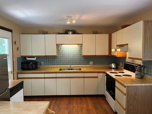 1630 Carol Street, Kaslo, BC - Indoor Photo Showing Kitchen With Double Sink