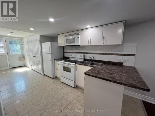 Bsmnt - 16 Northover Street, Toronto (Glenfield-Jane Heights), ON - Indoor Photo Showing Kitchen With Double Sink