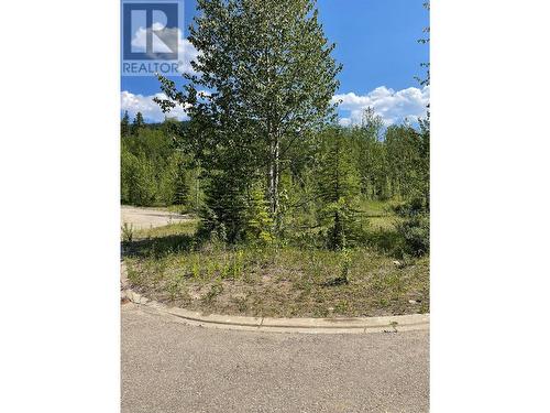 36 Wapiti Place, Tumbler Ridge, BC 