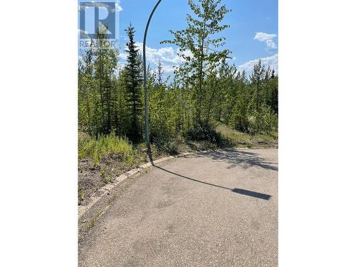 36 Wapiti Place, Tumbler Ridge, BC 