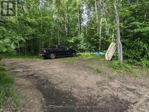 Lot 70 25Th Line, Algonquin Highlands, ON 