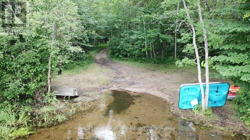 Lot 70 25Th Line, Algonquin Highlands, ON 