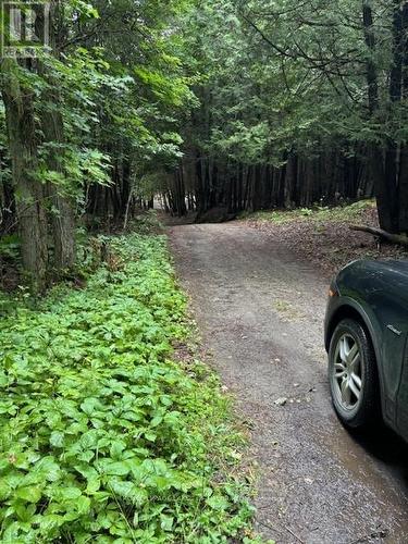 Lot 70 25Th Line, Algonquin Highlands, ON 