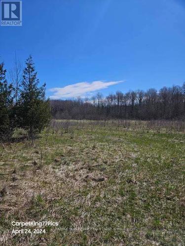 5135 Side Road 25, Orillia, ON - Outdoor With View