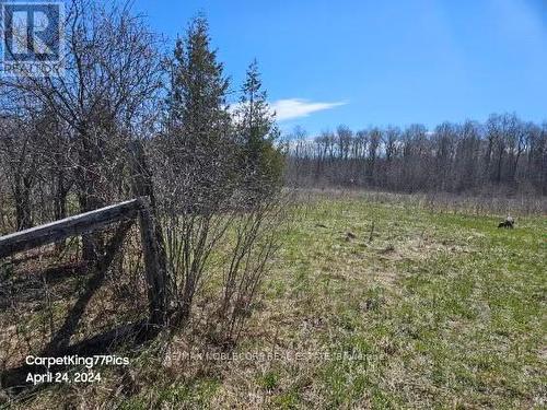 5135 Side Road 25, Orillia, ON - Outdoor With View