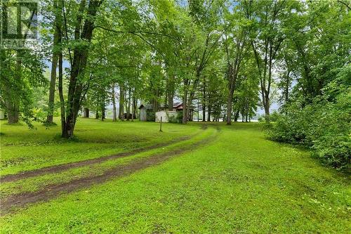 178 Purple Finch Trail, Westmeath, ON - Outdoor