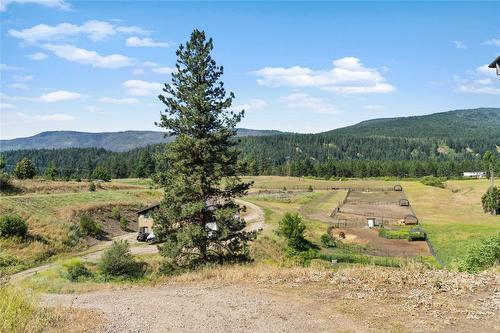 1258 Round Lake Road, Spallumcheen, BC - Outdoor With View