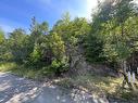 430 Thetis Dr Nw, Ladysmith, BC 