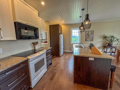 Cuisine - 1444 Route 148, Grenville-Sur-La-Rouge, QC - Indoor Photo Showing Kitchen With Double Sink