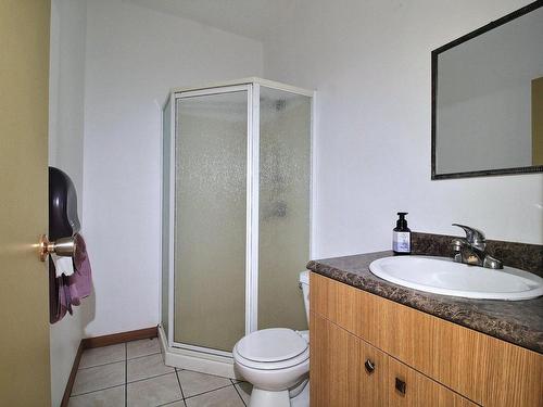 Ensuite bathroom - 459 Route 113 S., Senneterre - Paroisse, QC - Indoor Photo Showing Bathroom