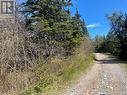 000 Old Black River Road, Saint John, NB 