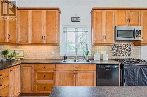 356 Stevenson Street N, Guelph, ON - Indoor Photo Showing Kitchen With Double Sink