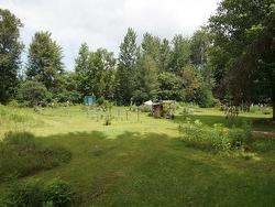 Garden - 