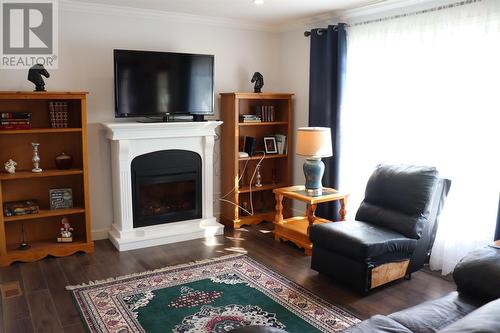 32 Main Road, Westbay, NL - Indoor Photo Showing Living Room With Fireplace