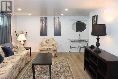 32 Main Road, Westbay, NL - Indoor Photo Showing Living Room