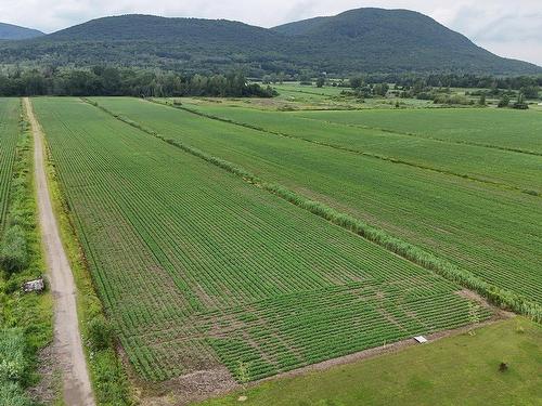 Terre/Terrain - Rue Chabot, Saint-Jean-Baptiste, QC 