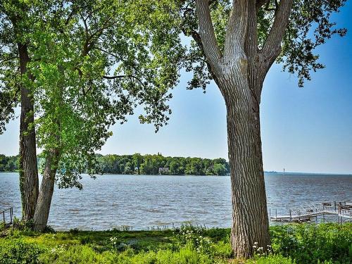 Cour - 946 Ch. Du Bord-Du-Lac-Lakeshore, Dorval, QC - Outdoor With Body Of Water With View