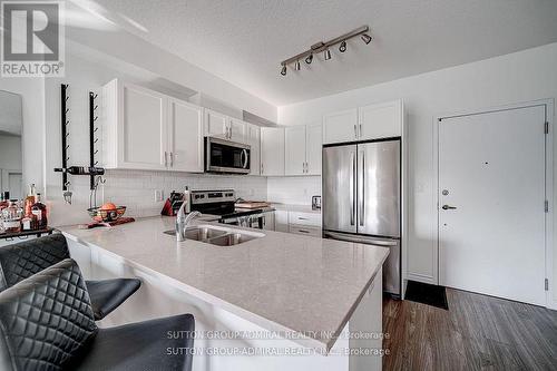 301 - 2605 Binbrook Road, Hamilton (Binbrook), ON - Indoor Photo Showing Kitchen With Stainless Steel Kitchen With Double Sink With Upgraded Kitchen