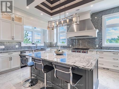 63 Poplar Street, Hamilton, ON - Indoor Photo Showing Kitchen With Upgraded Kitchen