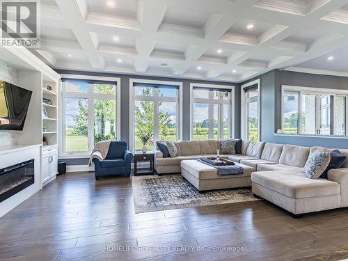 63 Poplar Street, Hamilton, ON - Indoor Photo Showing Living Room With Fireplace