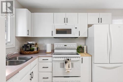 1071 St Louis Avenue, Windsor, ON - Indoor Photo Showing Kitchen With Double Sink