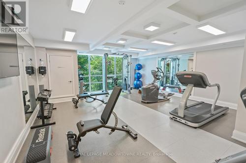 304 - 50 Hall Road, Halton Hills, ON - Indoor Photo Showing Gym Room