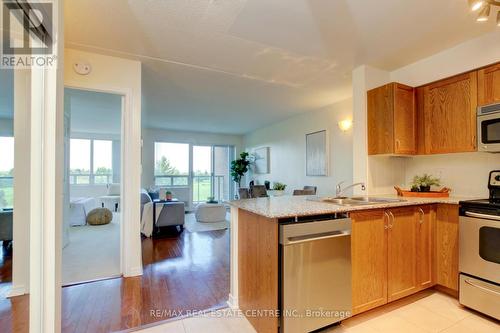 317 - 55 Via Rosedale, Brampton (Sandringham-Wellington), ON - Indoor Photo Showing Kitchen With Stainless Steel Kitchen With Double Sink