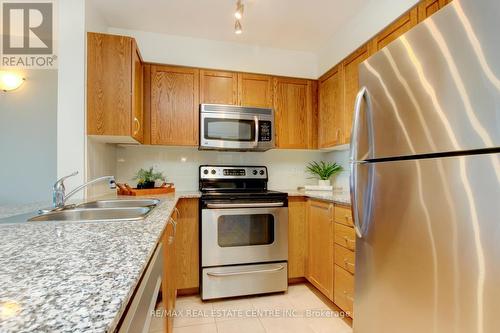 317 - 55 Via Rosedale, Brampton (Sandringham-Wellington), ON - Indoor Photo Showing Kitchen With Stainless Steel Kitchen With Double Sink With Upgraded Kitchen