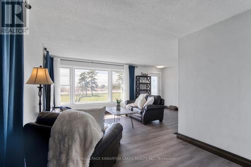 49 Weldon Road, Kawartha Lakes (Lindsay), ON - Indoor Photo Showing Living Room